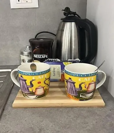 公寓 Starlight Downtown 地拉那